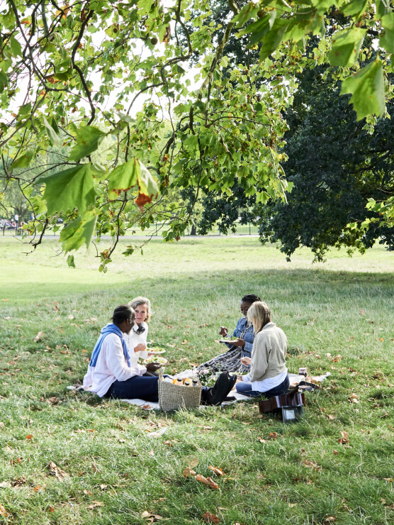Four people sit on a blanket having a picnic in a grassy park area under leafy trees, enjoying the relaxed lifestyle that makes homes in Nassau County Florida so desirable. Food and drinks are arranged between them as they savor the sunny day.