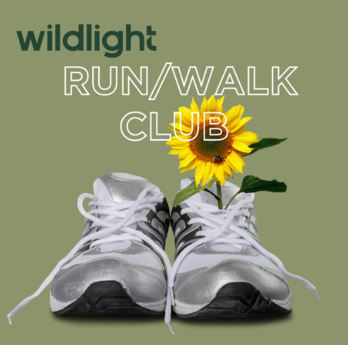 A pair of silver running shoes with a sunflower in one shoe, on a green background with the text "wildlight RUN/WALK CLUB"—a bright scene inspired by the vibrant spirit of the Wildlight master planned community.