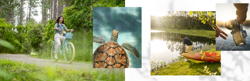 A woman rides a bike on a forest trail in Wildlight Florida, a sea turtle swims, a man prepares a kayak by a lake, and someone holds a glass underwater—capturing the spirit of outdoor living near new homes in Wildlight FL.