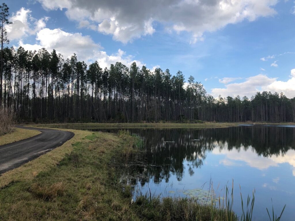 A paved path curves beside a calm lake with tall pine trees along the shore under a partly cloudy sky in the Wildlight Yulee Florida community, offering scenic views near new homes in Wildlight FL.