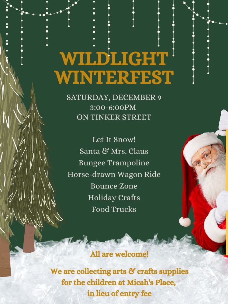 Event flyer for Wildlight Winterfest on Dec 9, 3-6pm, in Wildlight Florida—enjoy Santa, Mrs. Claus, rides, crafts, and food trucks! Donate arts & crafts supplies for entry and discover the charm of new homes in Wildlight FL.
