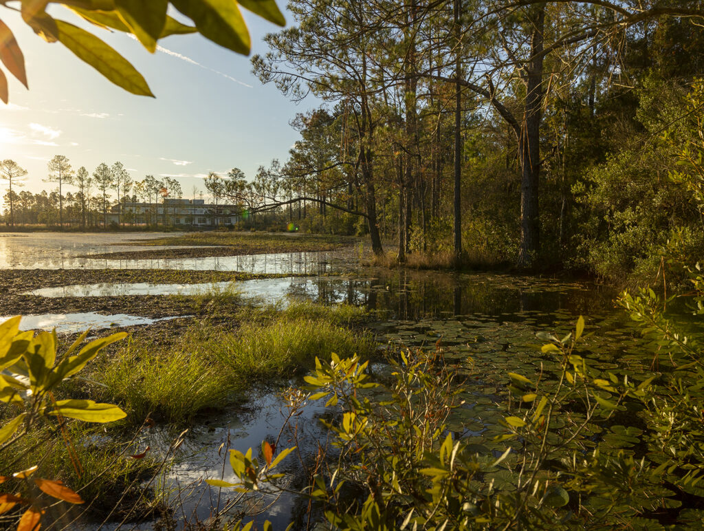 A small pond surrounded by trees and vegetation, with a building visible in the background under a clear sunset sky, captures the tranquil charm of the Wildlight Yulee Florida community.