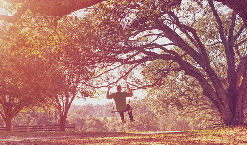 A person sits on a swing hanging from a large tree in a sunlit park within the Wildlight master planned community, with branches and leaves casting dappled shadows on the ground.