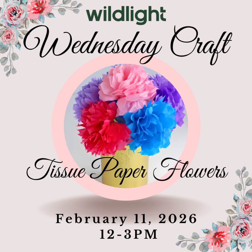 A bouquet of colorful tissue paper flowers in a yellow vase advertises a "Wednesday Craft" event on February 11, 2026, from 12–3 PM hosted by Wildlight Florida—perfect for residents and fans of homes in Nassau County Florida.