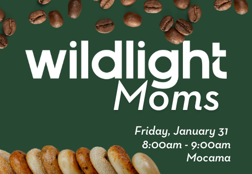Event flyer with coffee beans and bagels, text reads: "wildlight Moms, Friday, January 31, 8:00am - 9:00am, Mocama," inviting moms from the Wildlight Yulee Florida community.