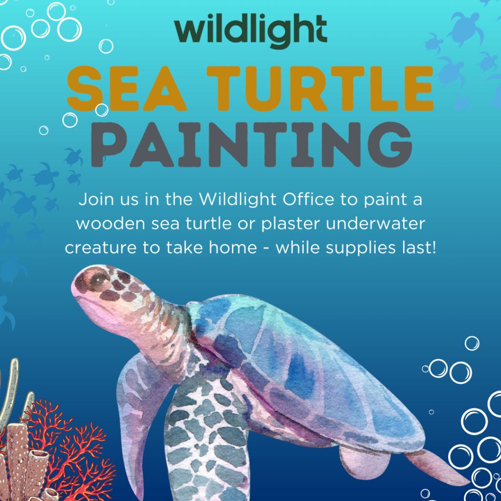 Illustration of a sea turtle with event text inviting the Wildlight Yulee Florida community to paint sea turtles or underwater creatures at Wildlight Office, with ocean-themed graphics in the background.