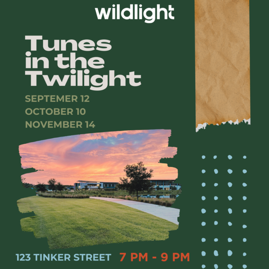 Event poster for "Tunes in the Twilight" by Wildlight, happening Sept 12, Oct 10, Nov 14 from 7-9 PM at 123 Tinker Street. Set in the heart of the Wildlight Yulee Florida community, featuring a sunset photo of a park.
