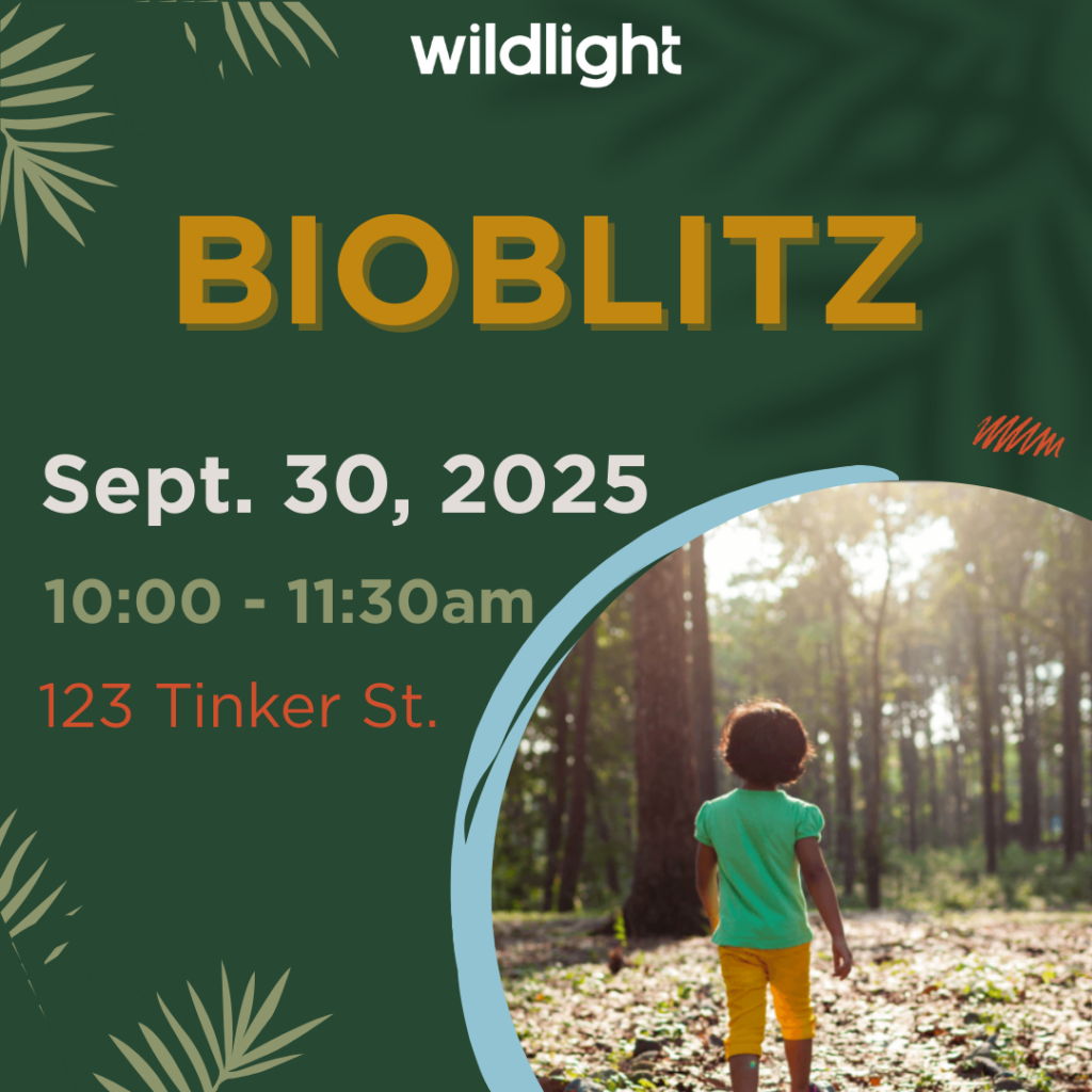 Event flyer for Bioblitz on September 30, 2025, from 10:00 to 11:30 am at 123 Tinker St. in the Wildlight master planned community, featuring a child walking in a sunlit forest.