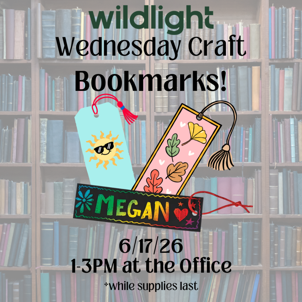 Three illustrated bookmarks, one with a sun and smiley face, another with fall leaves, and a third labeled "Megan," on a library bookshelf background; event details overlaid.